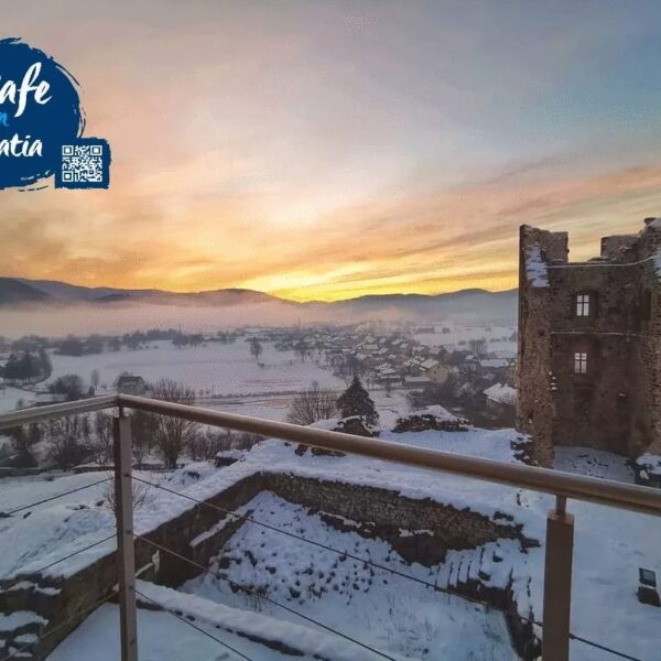 154322310 2876369765956005 3985025739135567581 n