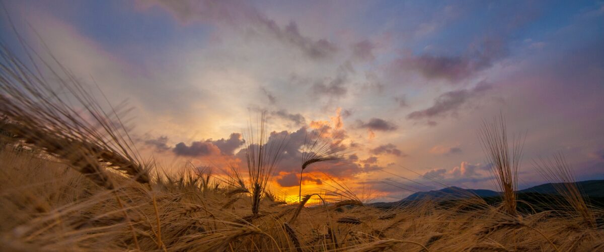 235884352 2998473180412329 6737043628248236273 n 1200x500